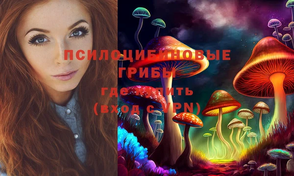 соль курить ск Белокуриха