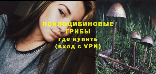 соль курить ск Белокуриха