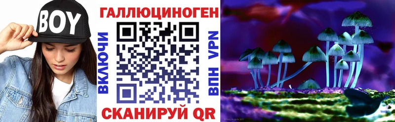 Галлюциногенные грибы Cubensis  гидра ССЫЛКА  Заречный 
